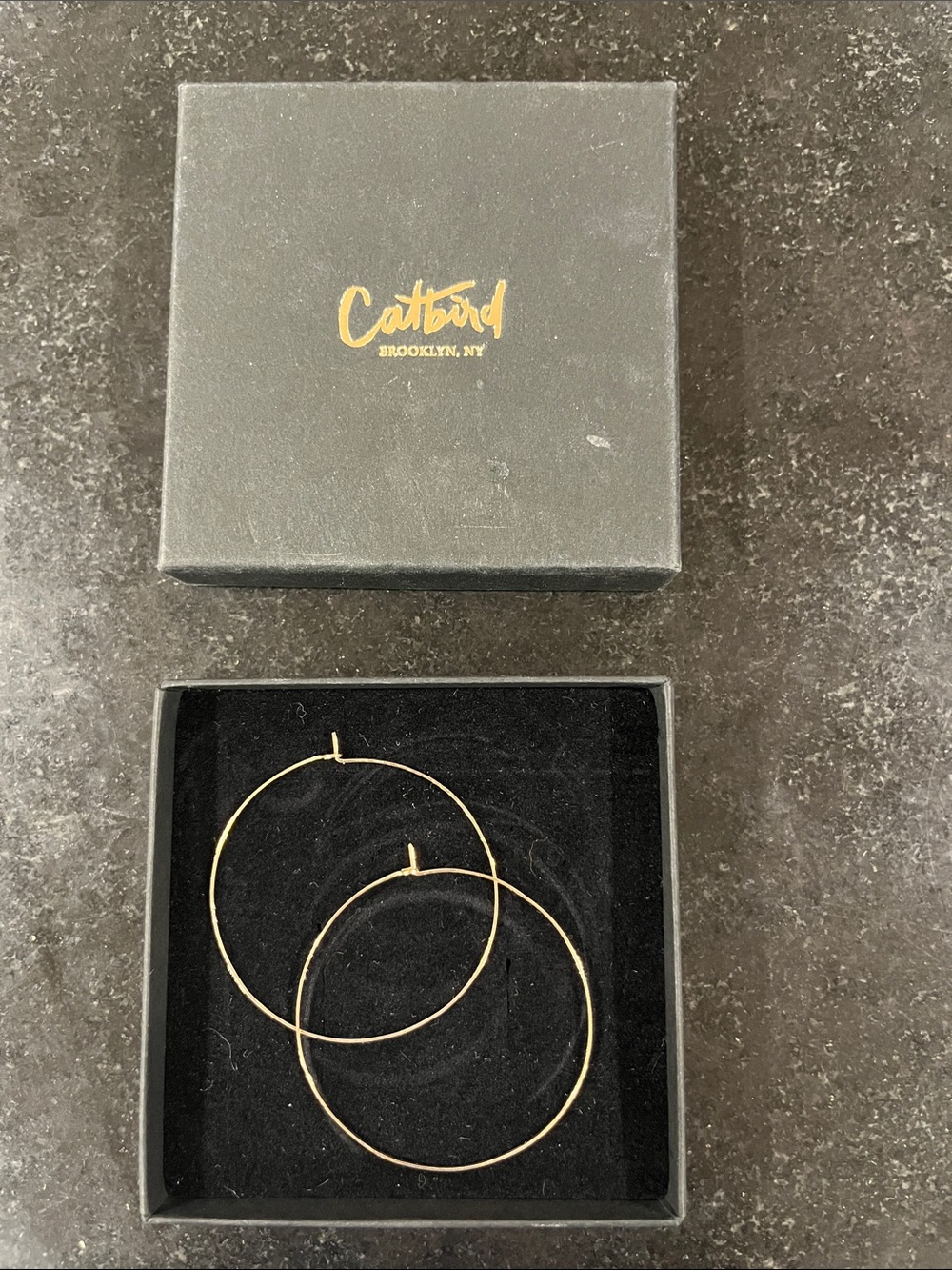 NWOT never worn Catbird Biggest Hoop Dream Earring - no longer available!